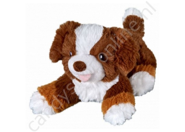 Bauer Eco-line Pluche Berner Senner 25cm. met snoepzak