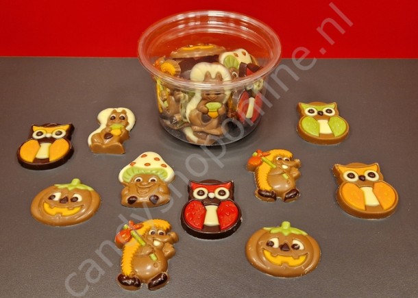 Herfstchocolaatjes gemengd bakje 15stuks