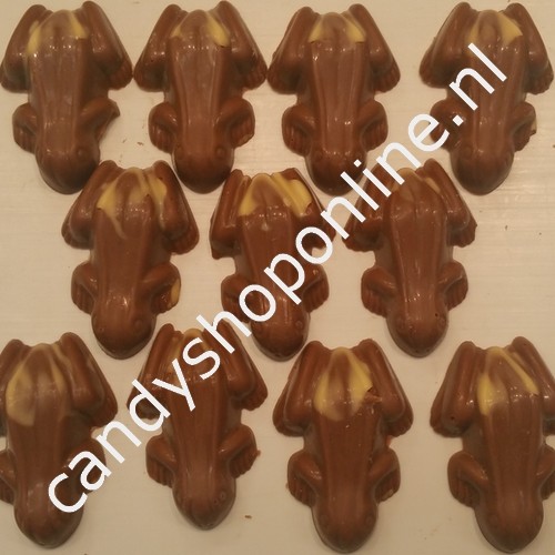 Sintchocolade Kikkers Nougat Praliné Bakje 5 stuks