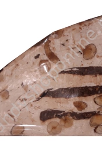 Quaranta Part Soft Nougat with Chocolate Filling ±165gr.
