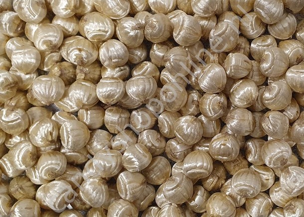 Küfa Golden Nuts/choco filling 200 gram