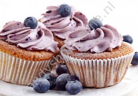 Bosvruchten Cakemix 500 gram